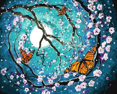 Malování podle čísel Půlnoční motýli