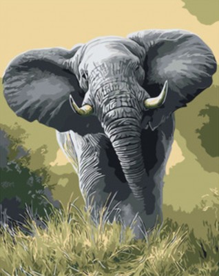 Malování podle čísel Africký slon