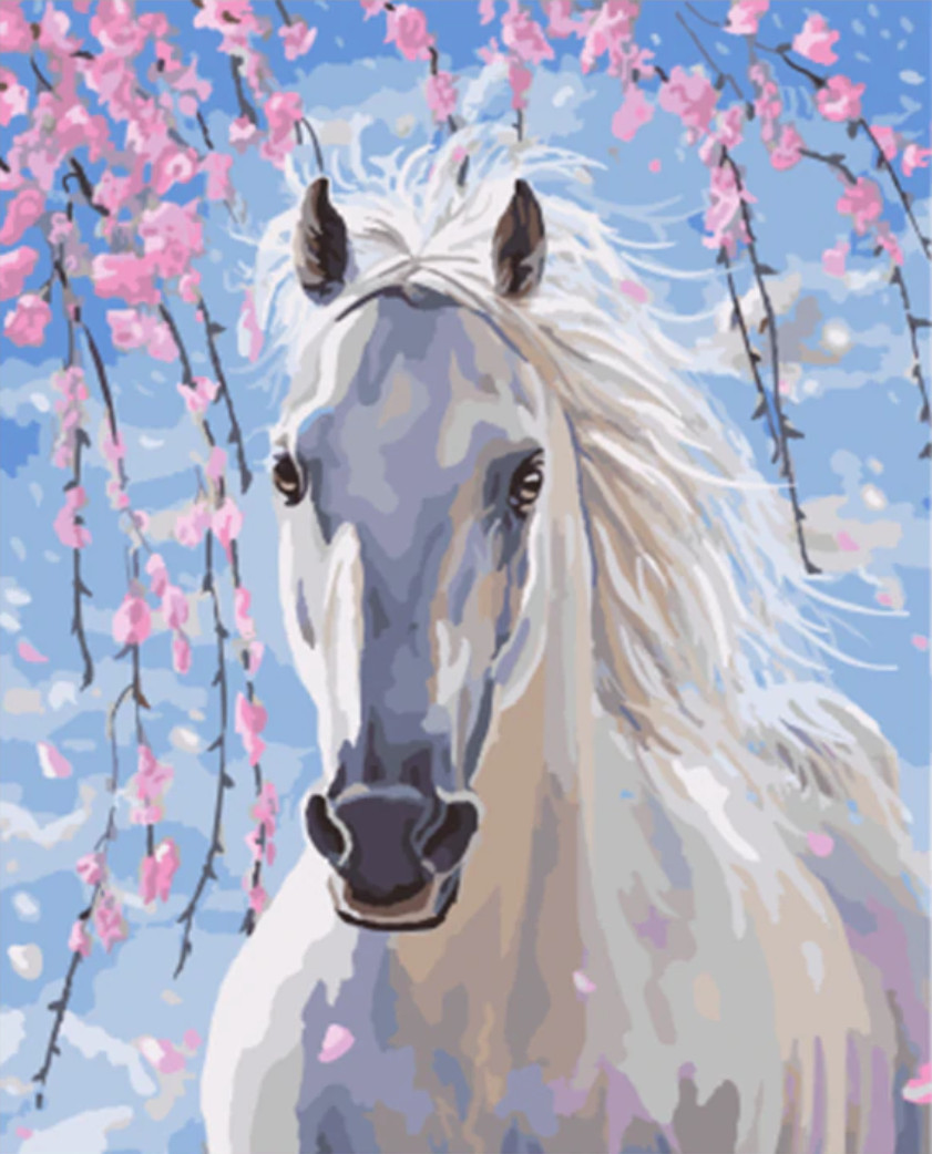 Amparo Miranda® Malování podle čísel - Bílý kůň