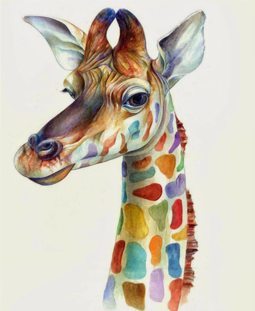 Amparo Miranda® Malování podle čísel Žirafa DX1113