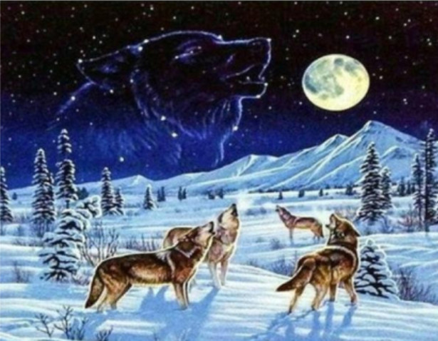 Hi Stone Diamantový obrázek - Vlci v zimě 30x40cm