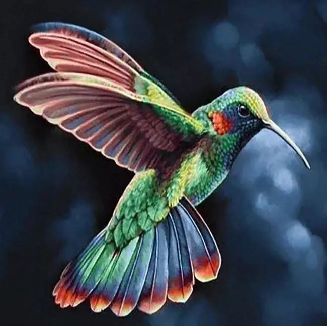 Amparo Miranda® Diamantové malování Zelený kolibřík