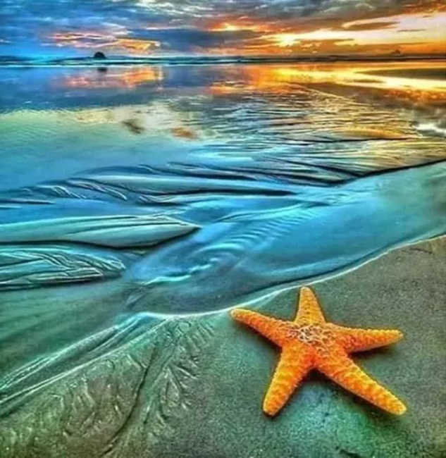 Amparo Miranda® Diamantové malování Hvězdice na pláži