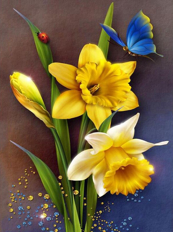 Diamantový obrázek Narcisy