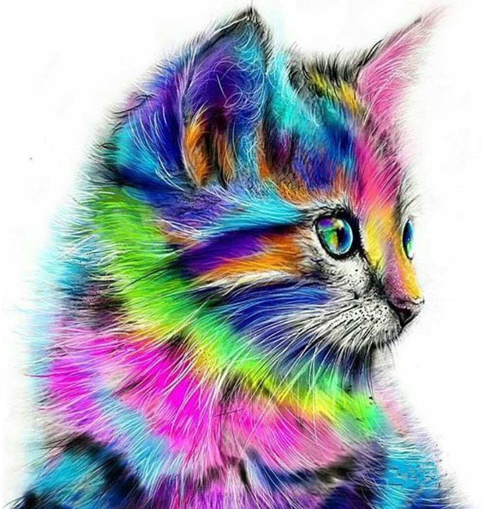 Amparo Miranda® Malování podle čísel Barevné kotě