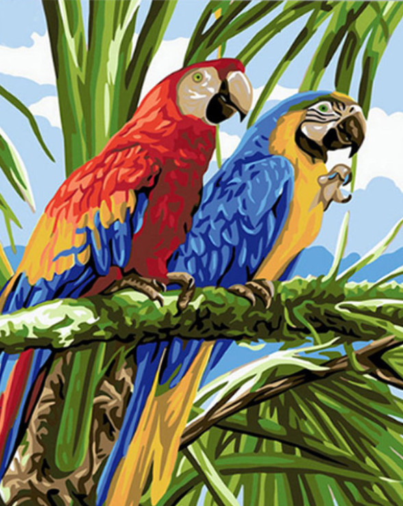 Amparo Miranda® Malování podle čísel Papoušci Ara DX1264