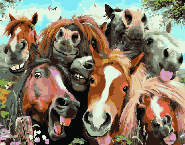 Amparo Miranda® Malování podle čísel Veselí koně