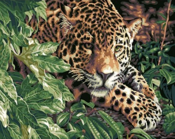 Malování podle čísel Leopard