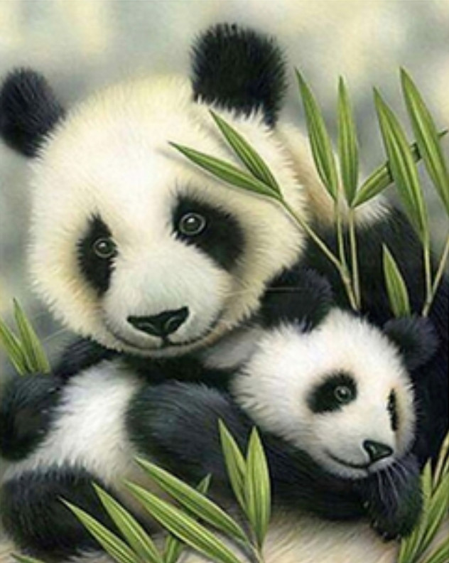 Amparo Miranda® Malování podle čísel Panda a mládě 410ZP