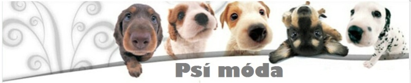 psí móda- oblečení pro psy