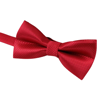 Elegantní motýlek MT008 