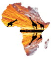 Malování podle čísel Afrika R2182