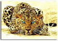 Malování podle čísel Jaguár DR554-3