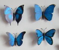 Dekorace na zeď motýli Blue