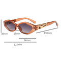 Sluneční brýle Panter 337 Brown