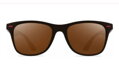 Sluneční brýle Titanium Brown X9913