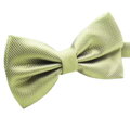 Elegantní motýlek MT008 