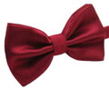 Elegantní motýlek MT008 