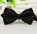 Motýlek Miranda Suit Bow 12