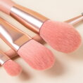 Kosmetické štětce Mini Travel Pink