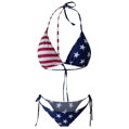 Dvoudílné plavky US Flag