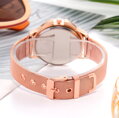 Hodinky Vansvar V380 Gold