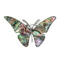 Brož Motýl AM223