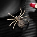 Brož Spider XR069