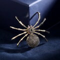 Brož Spider XR069