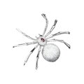 Brož Spider XR069