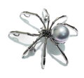 Brož Spider Silver