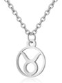 Přívěsek se znamením zvěrokruhu 4136 Stainless Steel