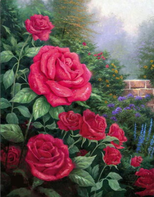 Malování podle čísel Růže v zahradě