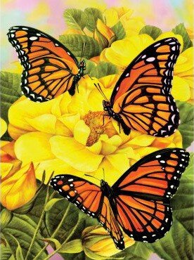 Malování podle čísel Motýlci na žlutých kytkách