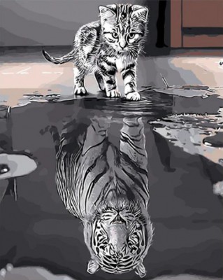 Malování podle čísel Malý tygr MT1014