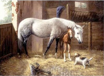 Malování obrázků podle čísel - Koně ve stáji 40 x 30 cm