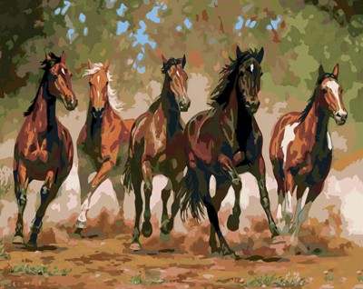 Malování podle čísel Běžící koně