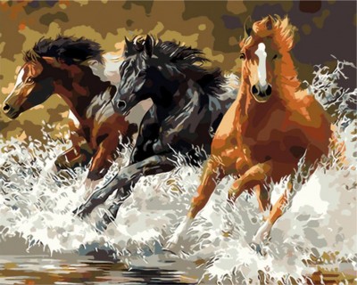 Malování podle čísel Koně v řece