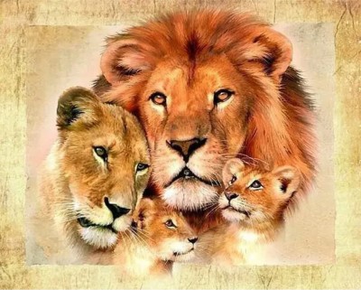 Malování podle čísel Lví rodina
