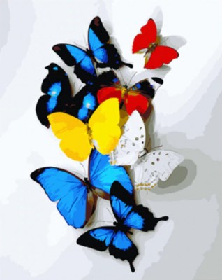 Malování podle čísel Barevní motýli