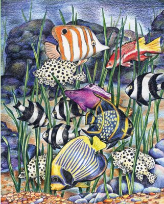 Malování podle čísel pastelkami - Mořské ryby