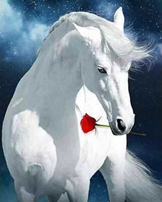 Diamantový obrázek Kůň s růží