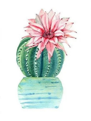 Diamantový obrázek Rozkvetlý kaktus