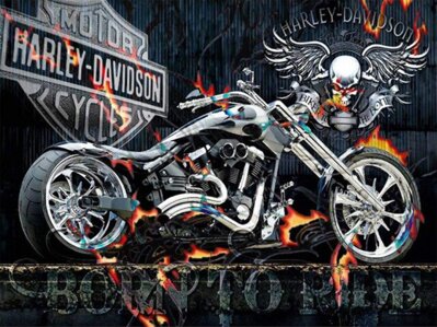 Malování podle čísel Harley Davidson - Born to ride