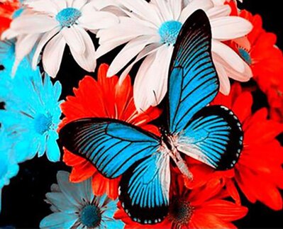 Malování podle čísel Motýl na květech