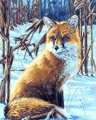 Malování podle čísel Liška v zimním lese