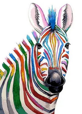 Malování podle čísel Barevná zebra