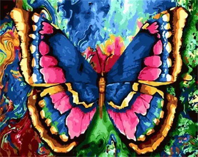 Malování podle čísel Motýl 56QB