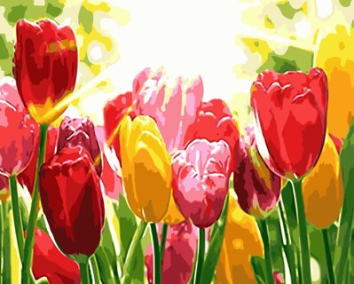Malování podle čísel Louka tulipánů