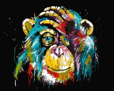 Malování podle čísel Barevný šimpanz